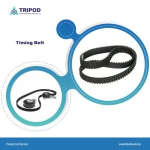 Timing Belt