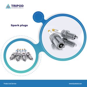 Spark Plugs
